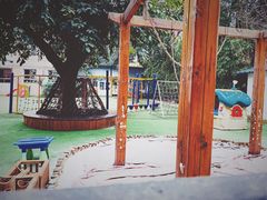 -成都市玉林实验幼儿园
