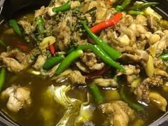 青花椒味牛蛙锅-蛙小侠(珠海华发商都店)