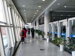 -威海大水泊国际机场