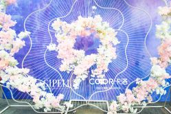 -保定金沙芝柏婚礼策划