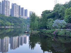 -重庆彩云湖湿地公园