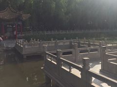 -文瀛公园