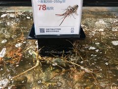 -盒马鲜生(曜一城店)