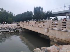 -宝安西湾红树林湿地公园