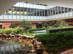 校区-香港大学