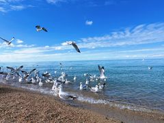 -青海湖国家重点风景名胜区