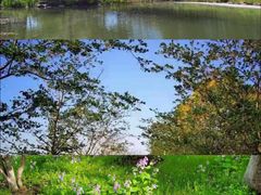 -幕燕滨江·长江观音景区