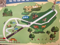 -西霞口神雕山野生动物世界