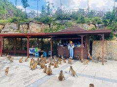-重庆云阳龙缸景区