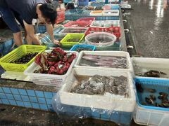 -霞涌市场海鲜摆卖区