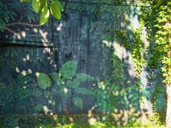 -人民公园(罗湖区)