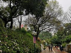 -九龙公园