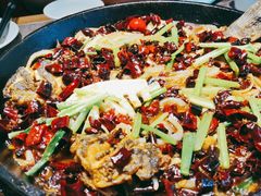 -老板恋上鱼(恒隆广场店)