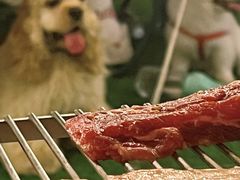 -CAMP.33露营烤肉·团建聚餐(创智天地店)