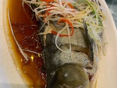 高原雪山鱼-小厨子私房菜·云南美食店