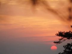 -缙云山景区