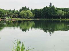 -新洲生态园