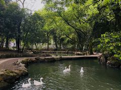 -兰亭风景区