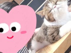-瞄一喵猫咖(格力海岸店)