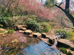 -杭州半山国家森林公园