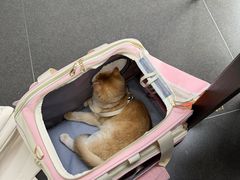 -帝京日语(春熙路旗舰校区)