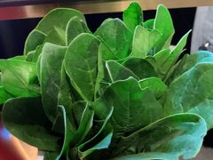 -南门四季铜锅涮肉(大屯·北苑店)