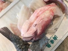 脆肉皖鱼块-淘米捞·米汤脆鲩鱼火锅(福田皇岗店)