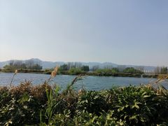 -海埂大坝
