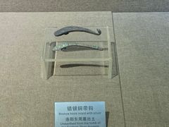 -洛阳周王城天子驾六博物馆