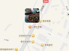 -y牌太安鱼