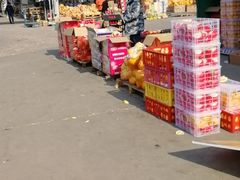 -韩家墅海吉星农产品批发市场