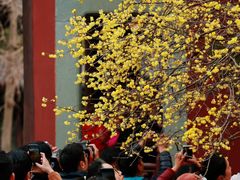 -钱王祠