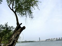 -无锡蠡湖国家湿地公园-蠡园