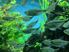 -太平洋海底世界