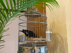 -杭州香格里拉·香宫中餐厅