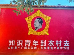-特克斯八卦城