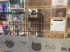 -猫爷宠物生活馆·撸猫馆