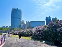 -群力丁香公园