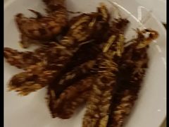 -芭菲盛宴·环球美食(北城国际店)