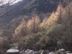 -秦岭风景区
