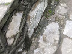 -小八仙·八方(移民广场店)