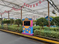 -南宫五洲植物乐园