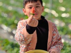 -盛世南宫影视城(北普陀影视城)