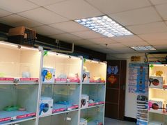-lincat·猫舍(广州店)