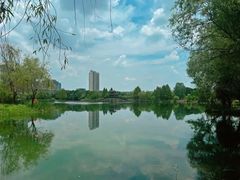 -洋湖国家湿地公园