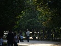 -长白岛森林公园