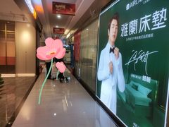 -家合居精品装饰材料广场(合正星园店)
