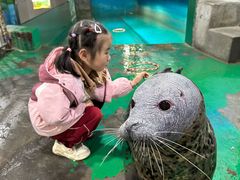 -嘉兴海底世界