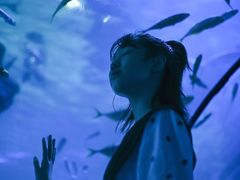 -左海海底世界