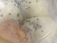 -许记生煎(遵义路店)